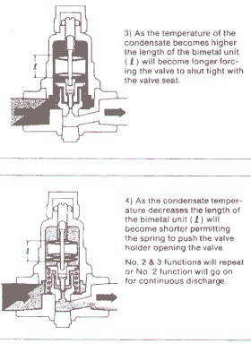 Thermostatic Steam Traps